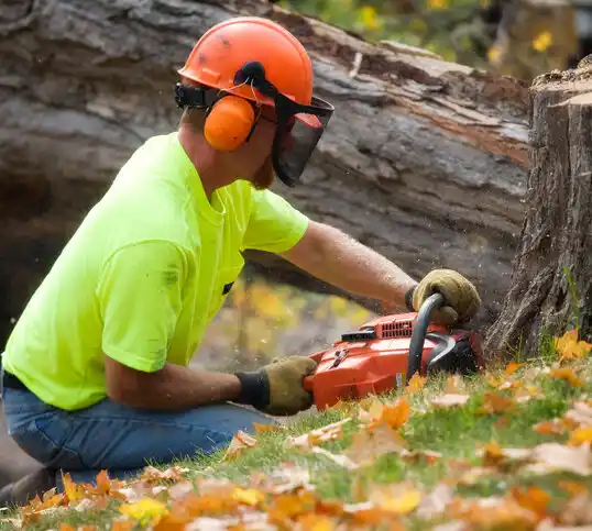 tree services La Crescent